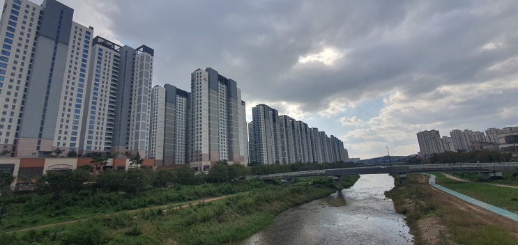  아이엠 삼송 장점과 단점 전세사기 걱정 없음