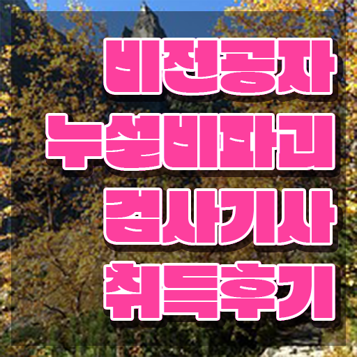  누설비파괴검사기사 채용 누설비파괴검사기사 응시조건 인강만 듣고 단기간에 끝낸 비법