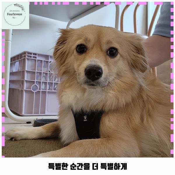 달빛 흘러간 자리