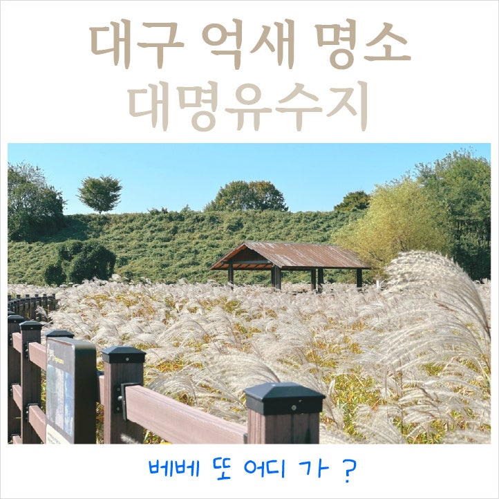 사진 3