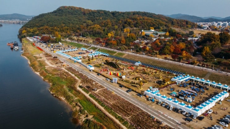  백제고도부여국화축제 기본정보, 부여궁남지 국화축제