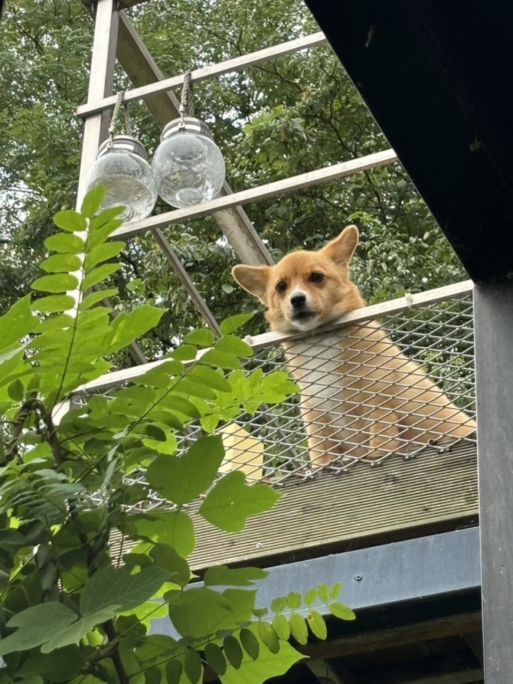  가을 즐겨버리기