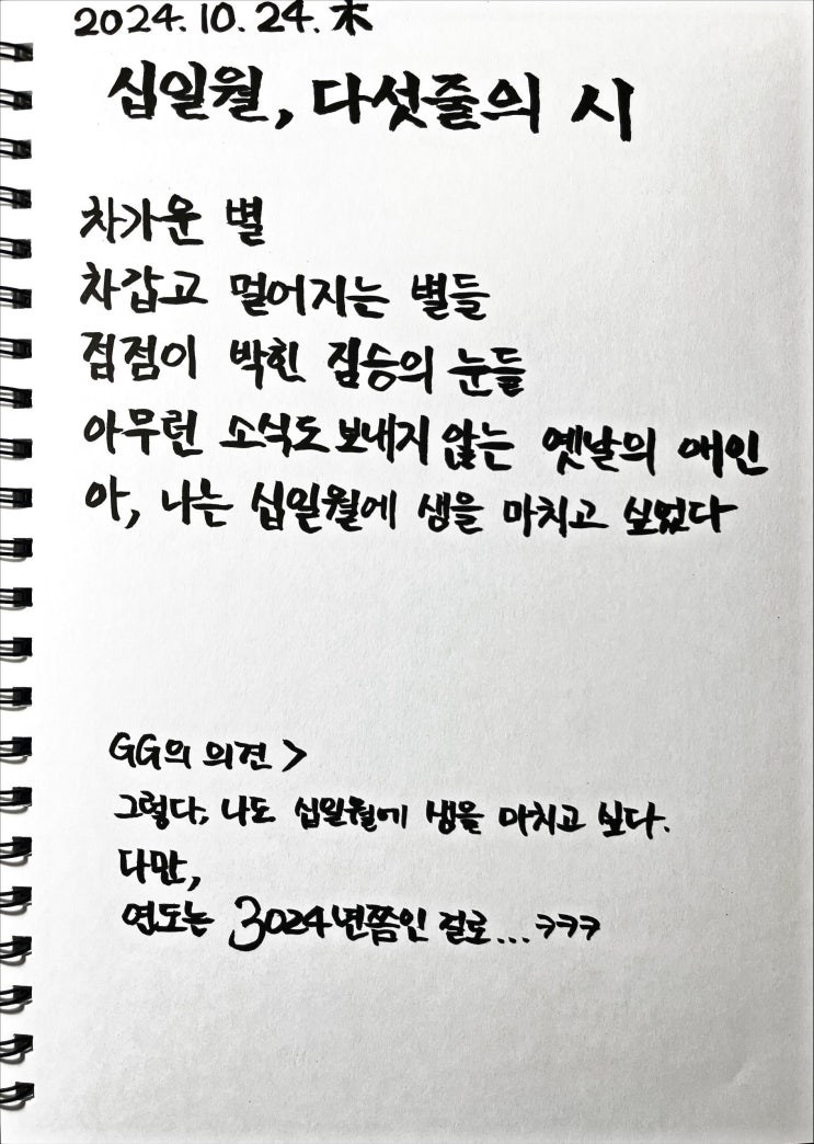  [필사] 십일월, 다섯줄의 시-류시화