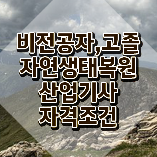  자연생태복원산업기사 시험응시자격 온라인 수업으로 단기간에 끝낸 팁