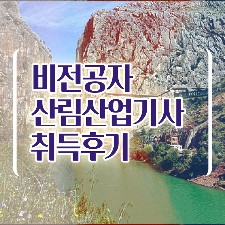  산림산업기사 자격요건 산림산업기사 자격요건 온라인 수업으로 쉽고 빠르게 성공한 후기