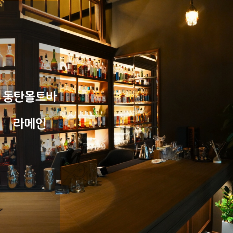  동탄 위스키 몰트바 라메인 피트 위스키 하이볼