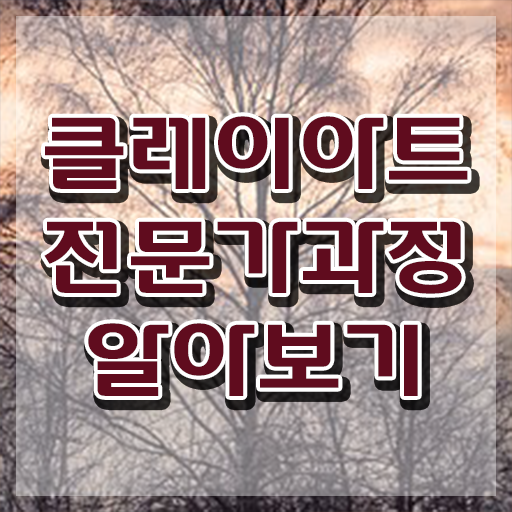  클레이아트 전문가 , 클레이아트전문가 자격증 1달 만에 학습한 후기 및 고용 전망