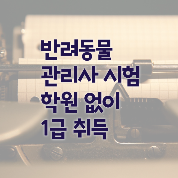  반려동물관리사1급자격증 , 반려동물관리사 자격증 온라인으로 합격정보 및 향후 전망
