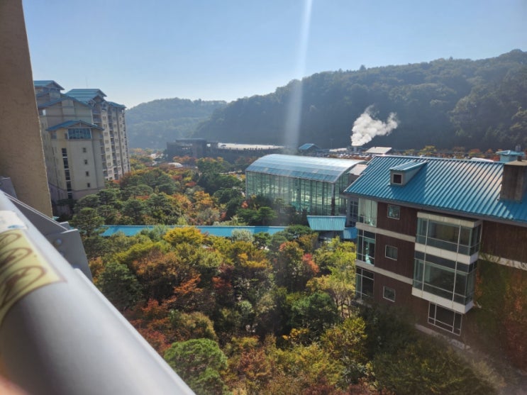  곤지암리조트 스키장 숙소 EW빌리지 취사콘도형 디럭스 후기