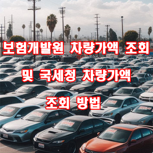  보험개발원 차량가액 조회 및 국세청 차량가액 조회 방법