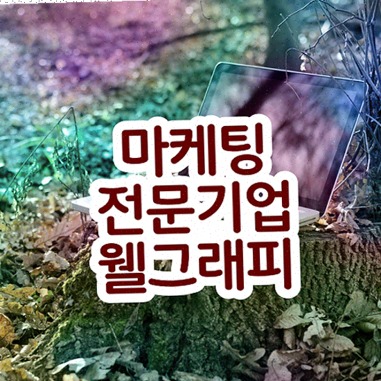  홈페이지 제작 비용 , 확장형 실속있는 도메인 등록까지