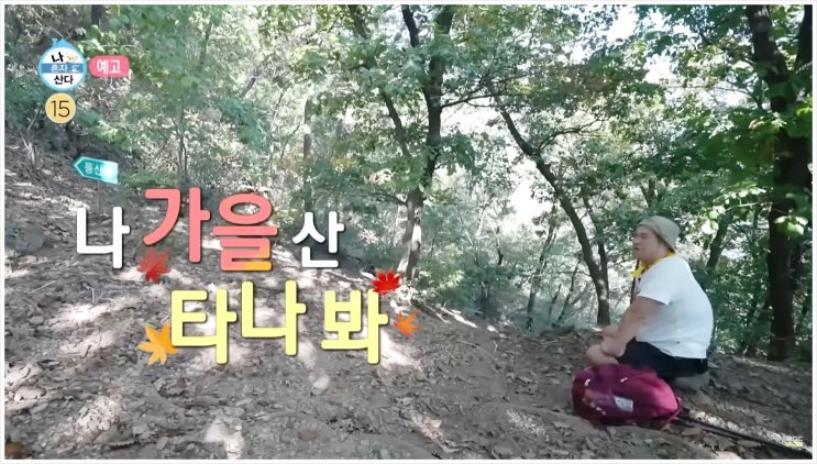  나혼자산다 구성환 등산 가을 초보 스틱 코스 매력 힐링 정상 소풍 산행 고난 난이도 자연 낙엽 남양주 예봉산