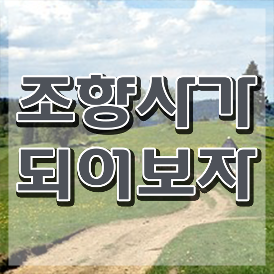  40대후반자격증 , 조향사 경력없는 고졸도 간편하게 끝낼수 있었던 방법