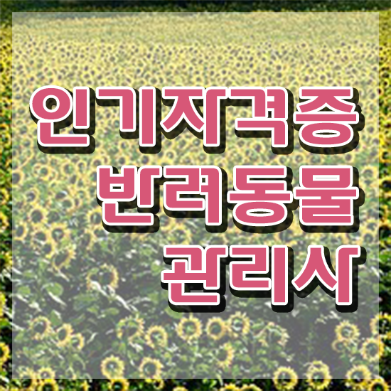  반려동물관리사 자격증 , 반려동물관리사 자격증 쉽고 간편하게 취득한 노하우 및 온라인 무료강의