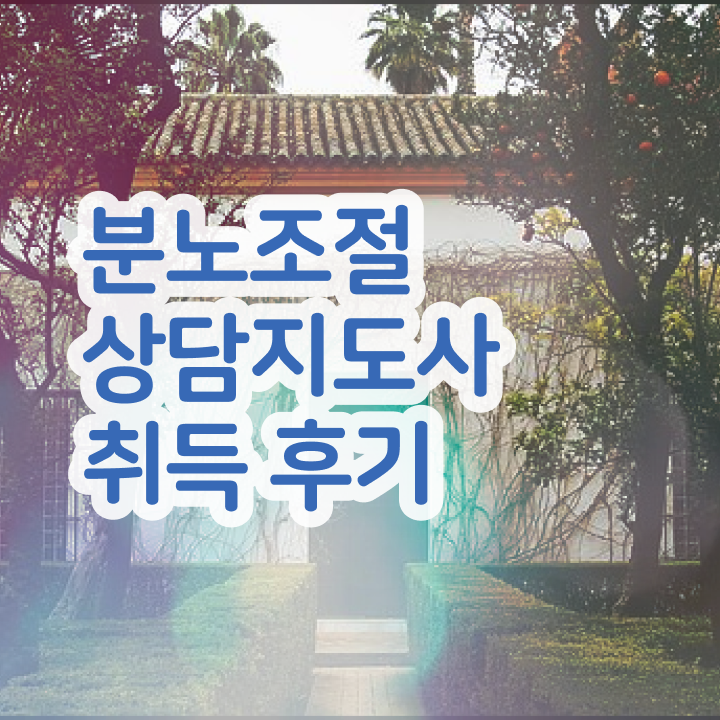  육아 분노조절장애 분노조절상담지도사자격증 단기간에 합격한 팁