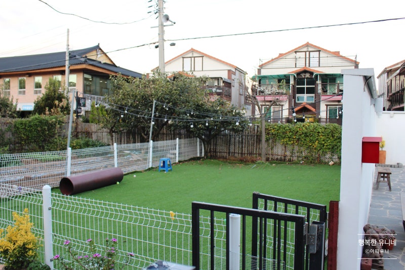 사진 3