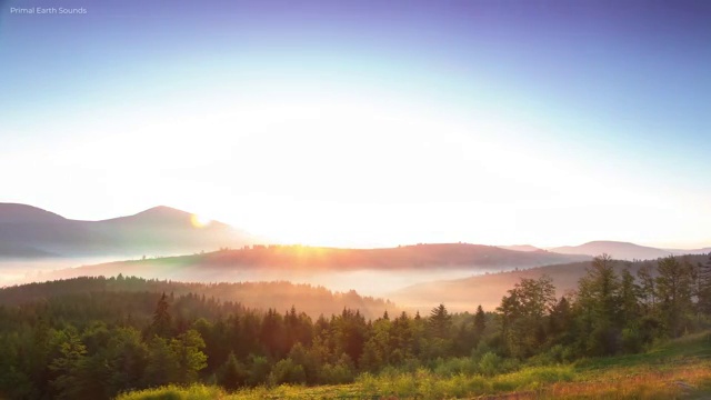  안산바리스타자격증 , 바리스타 자격증 20일 만에 합격한 후기 및 취업 전망