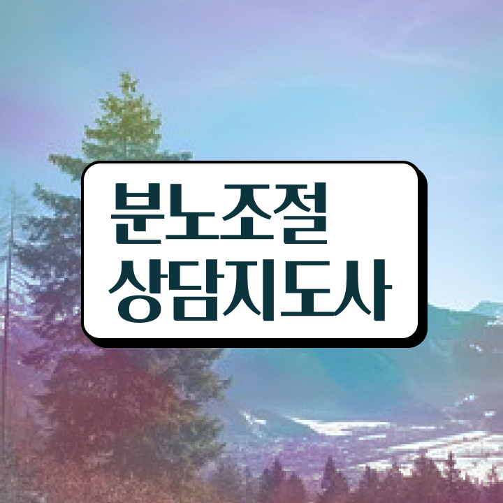 어린이 분노조절장애 분노조절상담지도사 간단하게 취득한 방법