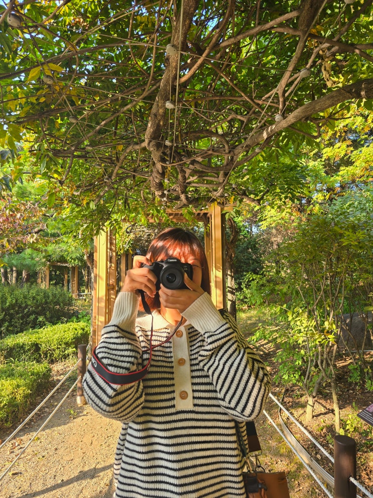  경기도 가을 나들이 하기 좋은 성남시 식물원 산책