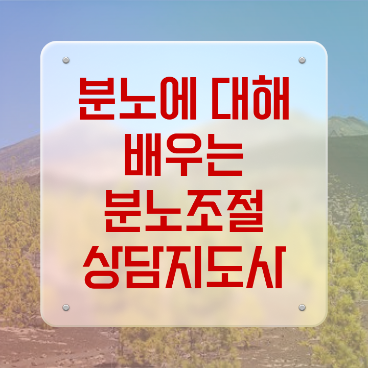  40대여자자격증 , 분노조절상담지도사 온라인 수업만으로 비전공자도 손쉽게 준비했던 과정