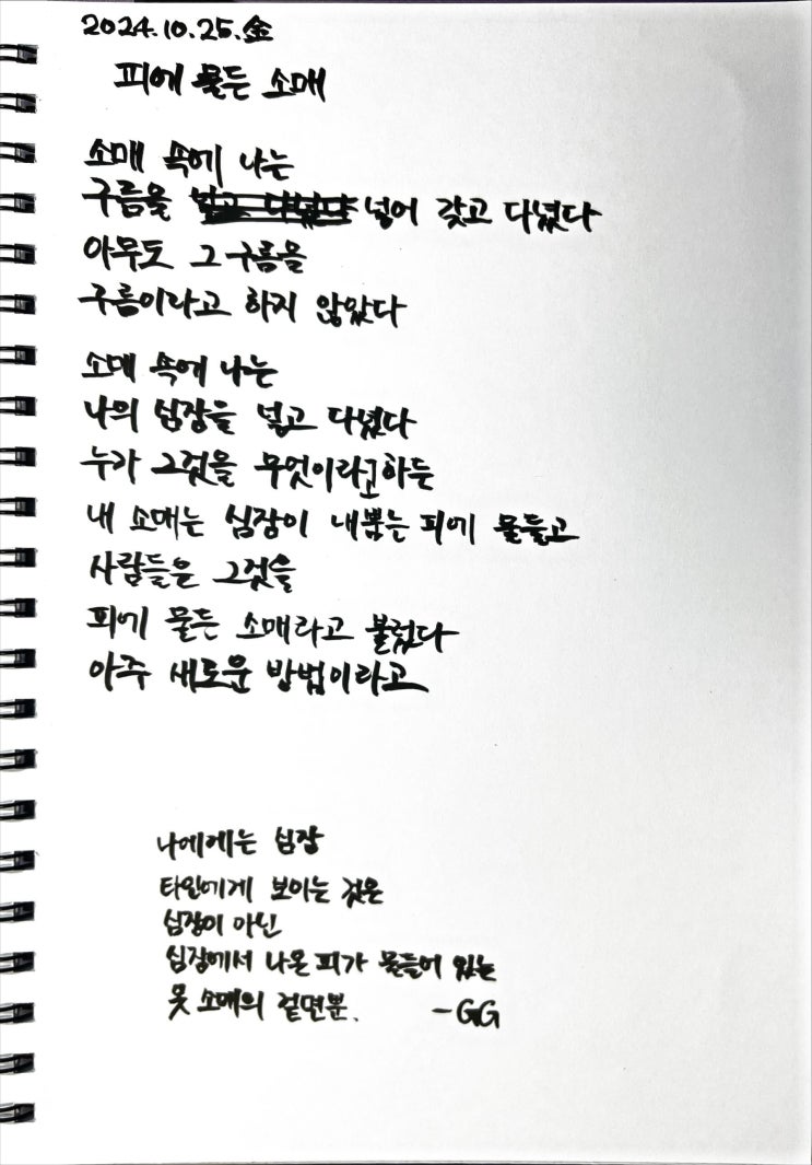  [필사] 피에 물든 소매-류시화