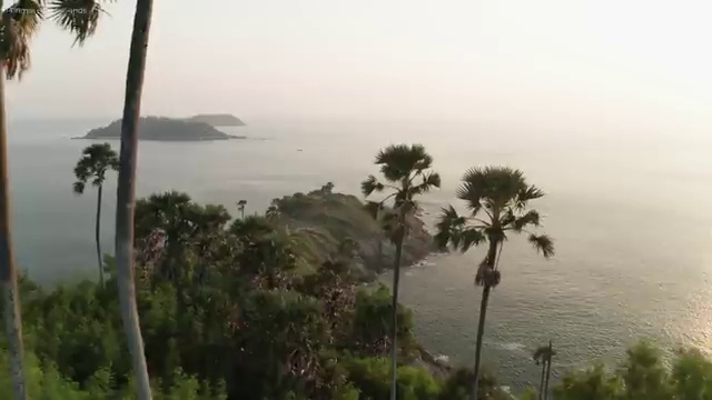 병원코디네이터자격증발급 , 병원코디네이터 자격증 15일 만에 취득한 정보 , 이후 전망
