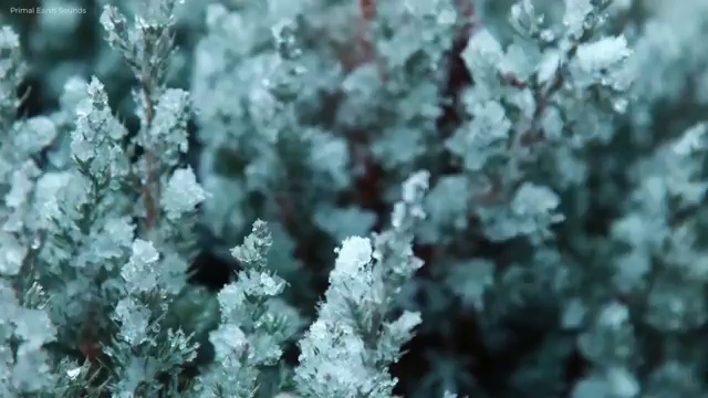  고졸보육교사2급자격증 , 학점은행제 전공 경력없는 사람도 인강으로 학점따서 빠르게 준비하는 후기