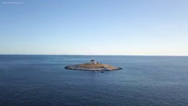  독서심리지도사 , 독서지도사 자격증 단기간에 시험준비 , 활용 방법