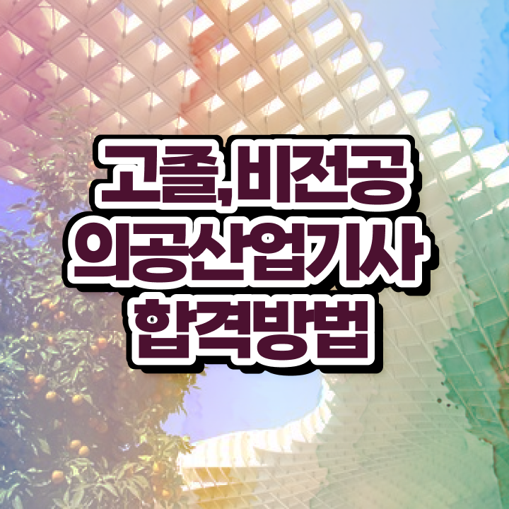  의공산업기사 응시자격 온라인으로 간편하게 완료한 노하우