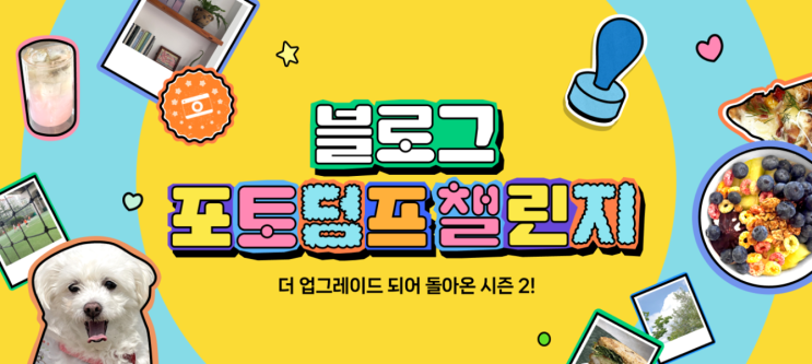  벌써 마지막 일상 포토 덤프라니!