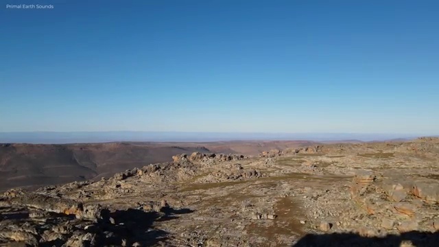  플로리스트 학원 , 플로리스트 자격증 온라인으로 취득한 과정 , 취업