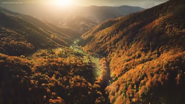  2급아동심리상담사자격증취득법 , 아동심리상담사 자격증 직장인도 쉽게 학습한 후기 , 취업정보