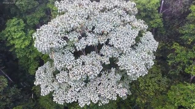  학생안전교육 , 안전지도사 자격증 온라인으로 쉽게 합격한 비법 확인하고 가세요