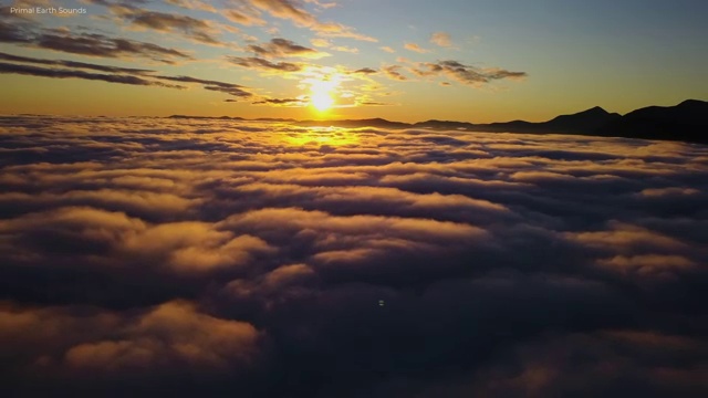  요양병원관리사 무료 인강 , 요양병원관리사 자격증 간단하게 합격한 비법 , 이후 전망