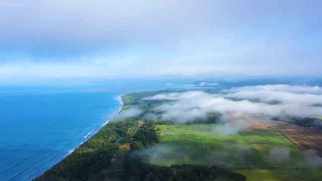  병원동행자격증 , 병원동행매니저자격증 2주 만에 취득 정보