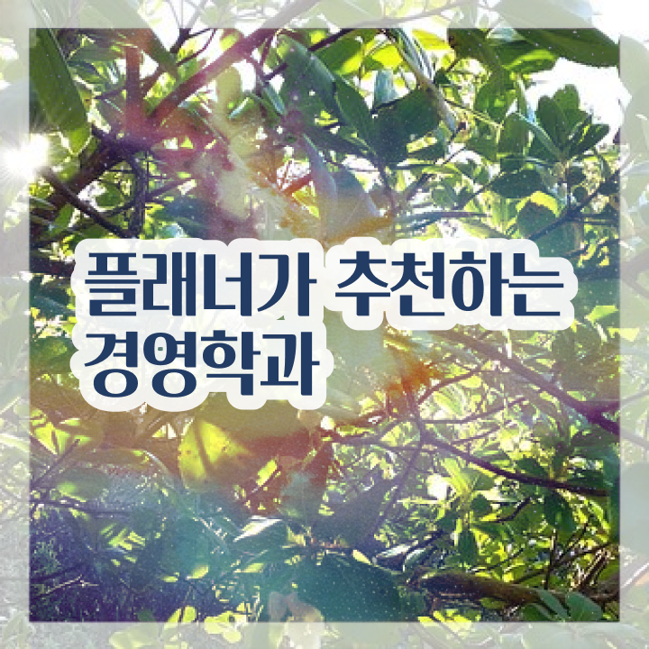  사회복지사학사학위 , 학점은행제 전공 경력없는 사람도 온라인 교육원 통해서 단기간에 성공한 방법