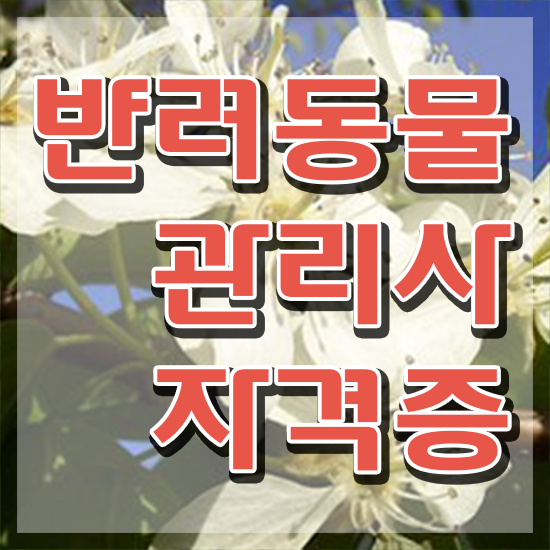  반려동물목욕관리사 , 반려동물관리사 자격증 응시자격 없이 합격한 전략 , 취업정보