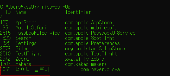  iOS 앱 덤프
