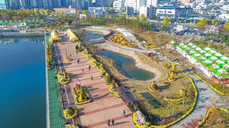  2024 마산가고파국화축제 기본정보 I 경남창원국화축제