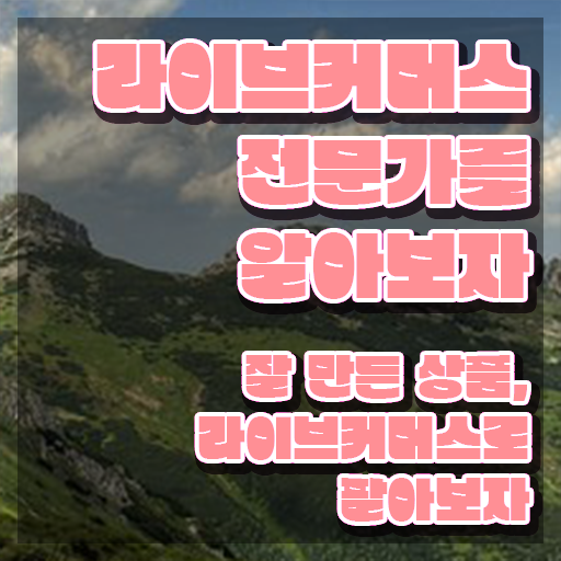  라이브커머스전문가 시험과목 , 라이브커머스전문가 자격증 취득한 방법 추천합니다