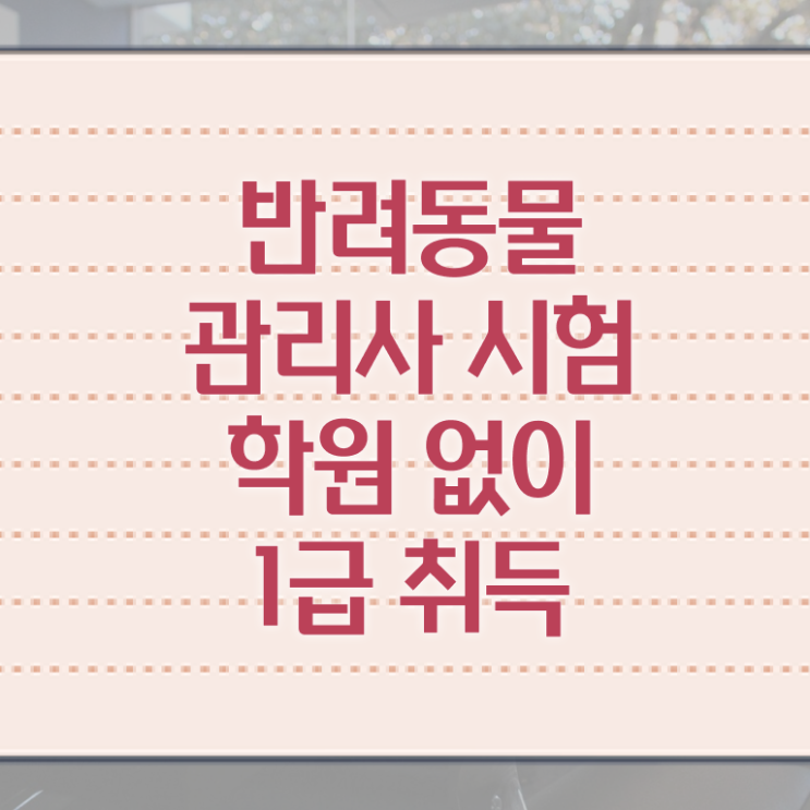  반려동물관리사 학원 , 반려동물관리사 자격증 온라인으로 간단히 취득한 정보 , 활용 방법