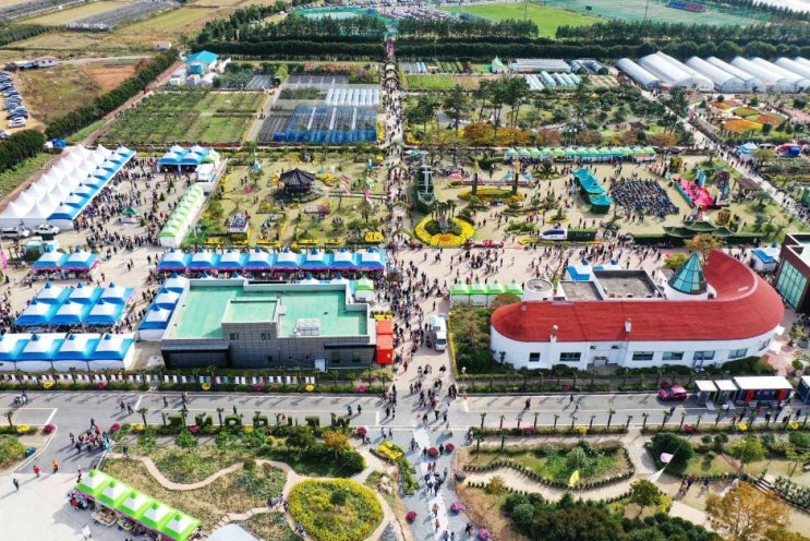  2024 거제섬꽃축제 기본정보 I 경남 거제도 꽃축제