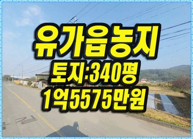  달성군 유가읍 유곡리 농지 경매 땅 매매