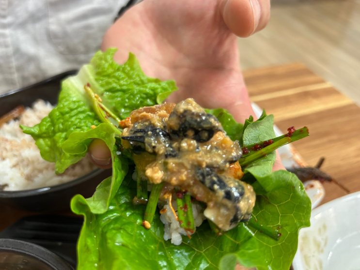  반찬까지 다 맛있는 고창 우렁쌈밥 맛집 옛날쌈밥