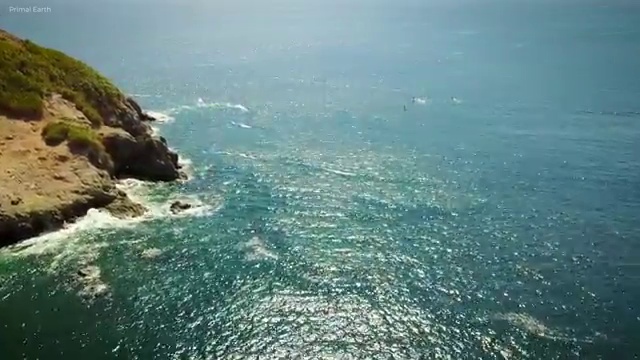  병원동행메니저자격증 병원동행매니저 합격한 후기 , 활용 방법과 전망