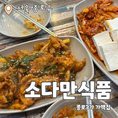 소다만식품 : 종로3가 또또또간집 가성비 가맥집 내돈내산 후기