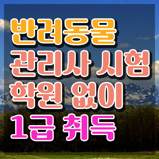  반려동물목욕관리사 , 반려동물관리사 자격증 2주 만에 취득한 노하우 및 채용 정보