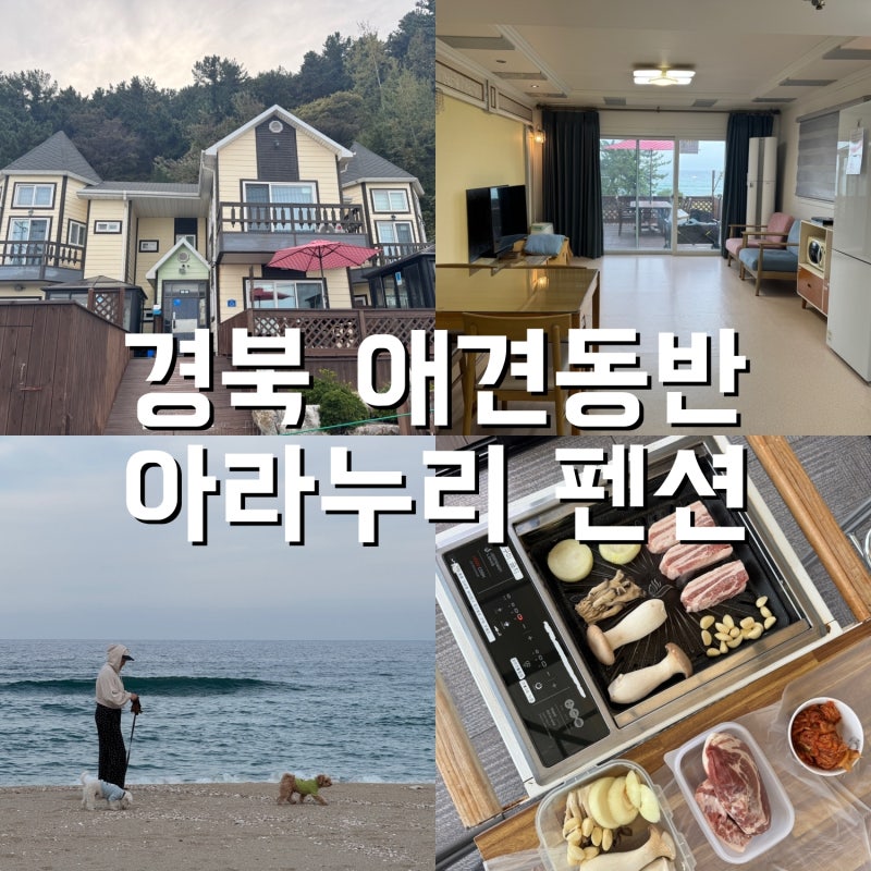 사진 6