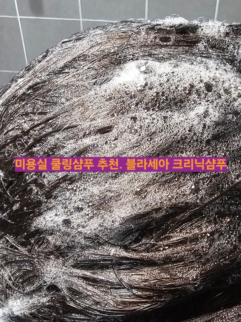 미용실 쿨링샴푸 추천 비듬각질샴푸 블라세아 크리닉샴푸