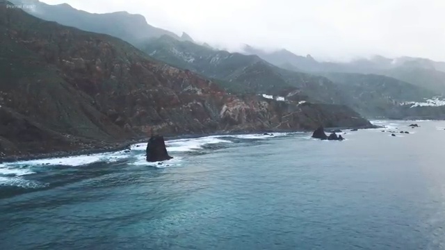  법원경매 권리분석 , 부동산권리분석사자격증 준비한 방법 , 온라인 과정